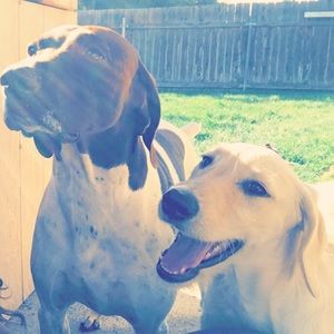 Meet your Posher, Taylor